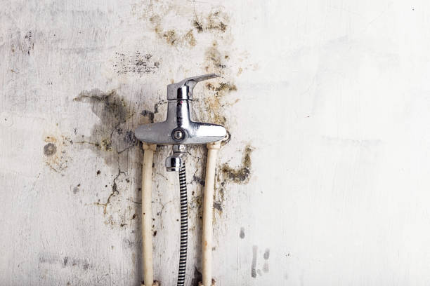 Home Mold Removal in Montara, CA