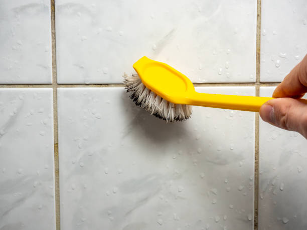 Best Residential Mold Removal  in Montara, CA
