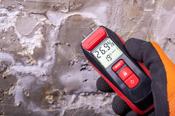 Best Same-Day Mold Removal  in Montara, CA