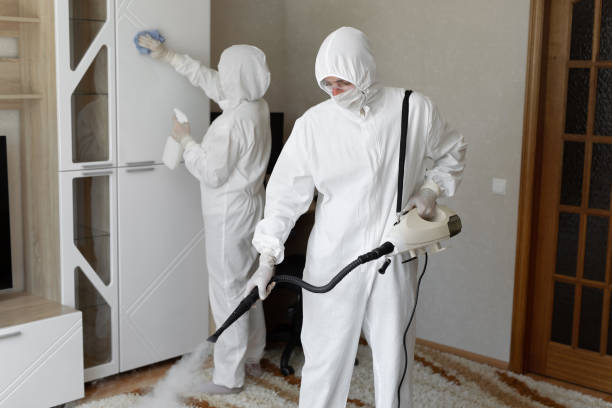 Mold Removal and Inspection in Montara, CA