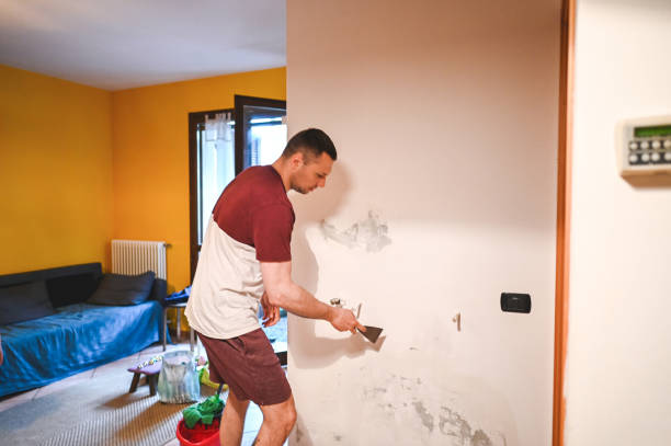 Best Commercial Mold Removal  in Montara, CA