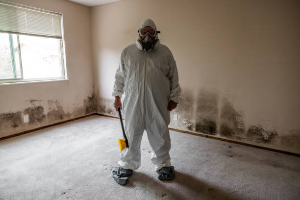 Best Mold Damage Repair  in Montara, CA